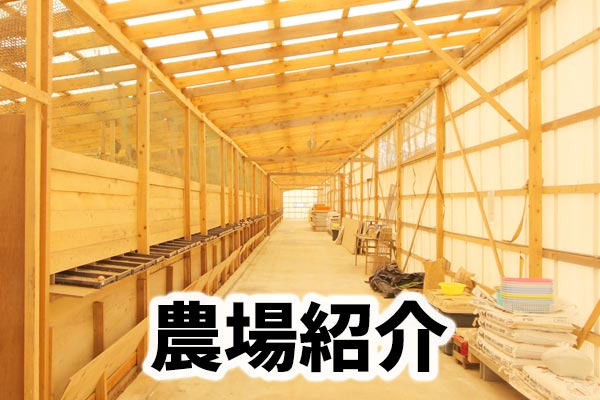 みながわ農場紹介